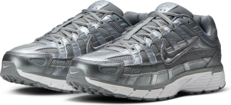 Кроссовки Nike P-6000 серебряные CD6404-023