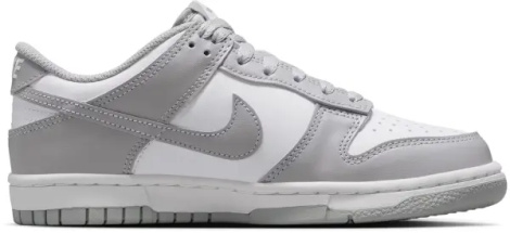 Кроссовки подростковые Nike DUNK LOW (GS) серо-белые FB9109-123