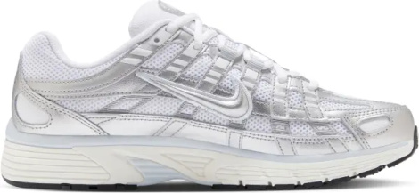 Кросівки жіночі Nike P-6000 біло-сріблясті BV1021-106