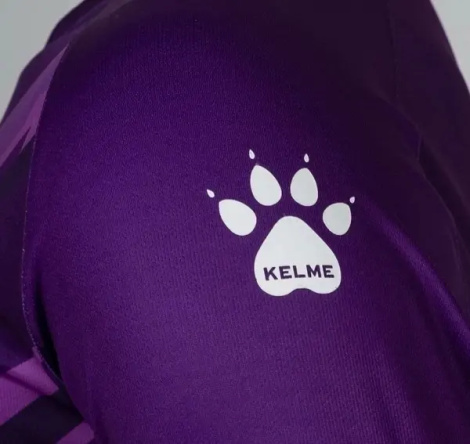 Комплект вратарской формы Kelme ZAMORA II фиолетовый 7361ZB1256.9500