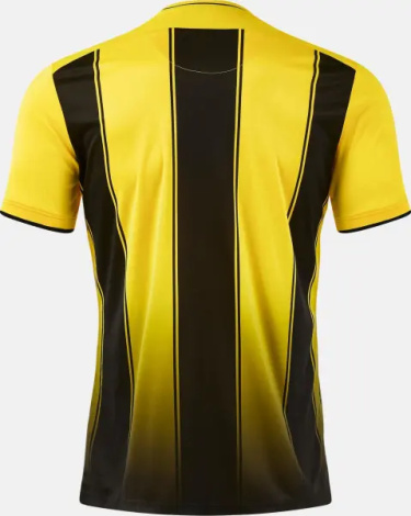 Футболка Joma TIGER VIII жовто-чорна 105243.901