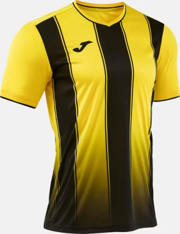 Футболка Joma TIGER VIII жовто-чорна 105243.901