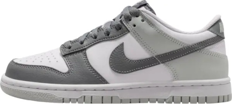 Кросівки підліткові Nike DUNK LOW (GS) сіро-білі IQ0804-102