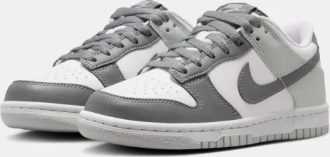 Кросівки підліткові Nike DUNK LOW (GS) сіро-білі IQ0804-102