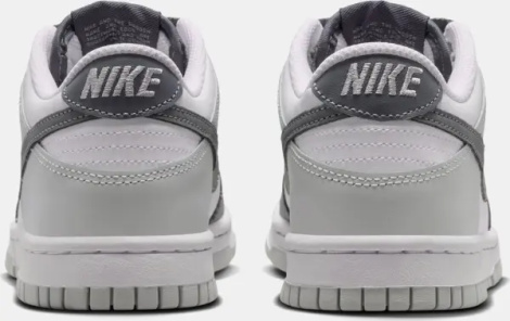 Кросівки підліткові Nike DUNK LOW (GS) сіро-білі IQ0804-102