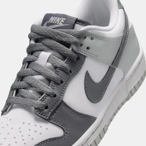 Кросівки підліткові Nike DUNK LOW (GS) сіро-білі IQ0804-102