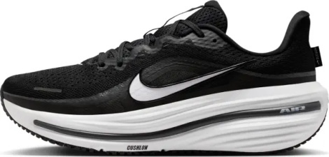 Кросівки бігові Nike WINFLO 12 чорно-білі HV9272-002