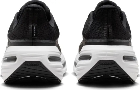 Кросівки бігові Nike WINFLO 12 чорно-білі HV9272-002
