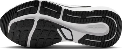 Кросівки бігові Nike WINFLO 12 чорно-білі HV9272-002