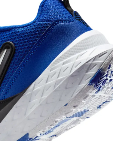 Кросівки баскетбольні підліткові Nike TEAM HUSTLE D 12 (GS) синьо-чорно-білі HF6279-400