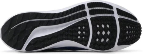 Кросівки бігові Nike AIR ZOOM PEGASUS 39 сині DH4071-400