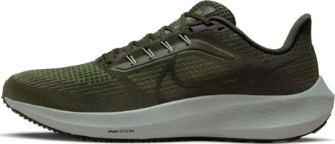 Кроссовки беговые Nike PEGASUS 39 темно-зеленые DH4071-300