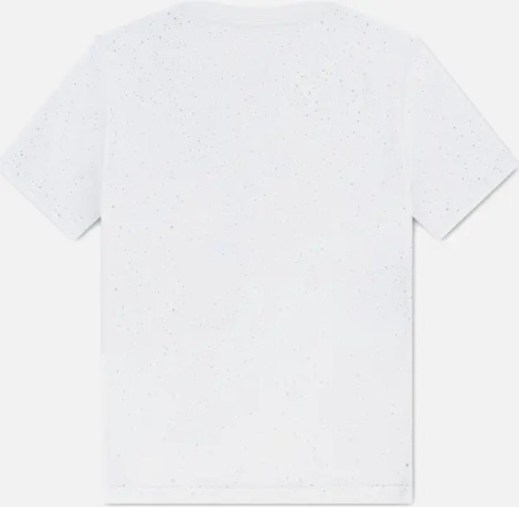 Футболка підліткова Nike JORDAN BRAND біло-блакитна 95F599-001