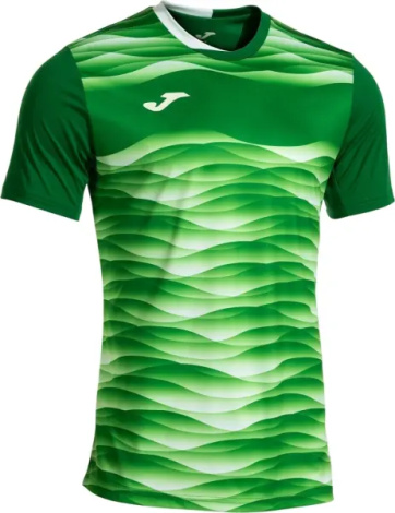 Футболка Joma TIGER VII зелено-біла 104378.452