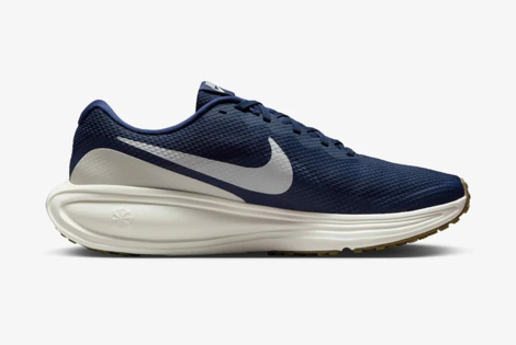 Кросівки Nike Revolution 8 HJ9198-402