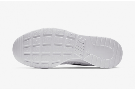 Кроссовки Nike Tanjun DJ6258-101