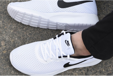Кроссовки Nike Tanjun DJ6258-101