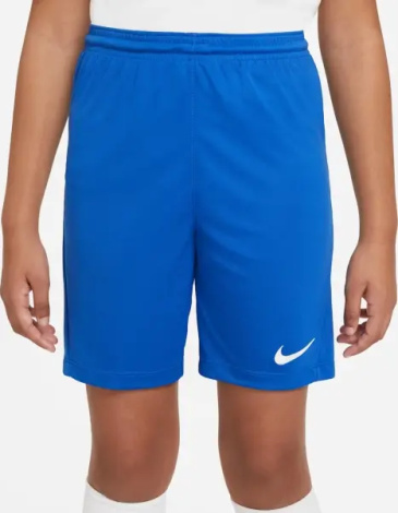Шорты подростковые Nike DRI-FIT PARK 3 синие BV6865-463
