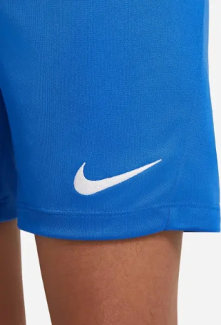 Шорты подростковые Nike DRI-FIT PARK 3 синие BV6865-463