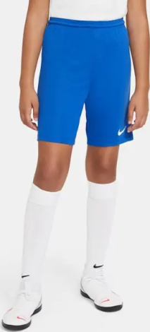 Шорты подростковые Nike DRI-FIT PARK 3 синие BV6865-463
