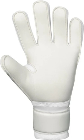Воротарські рукавички Jako GK ANIMAL BASIC RC зелено-білі 2596-023