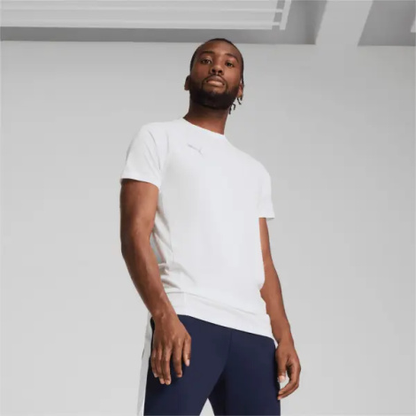 Футболка Puma TEAMEVOSTRIPE бело-серая 659953-04