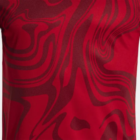 Футболка Joma LION II красная 103729.600
