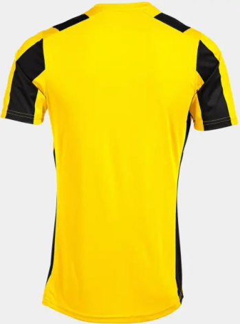 Футболка Joma INTER CLASSIC желто-черная 103249.901