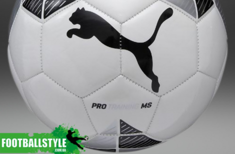 Футбольный мяч Puma Pro Training MS Football